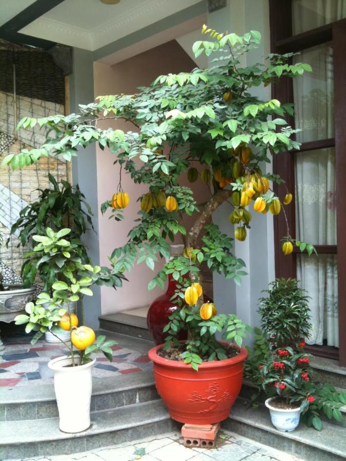 Thien Anh Hotel Hai Phong Exterior foto